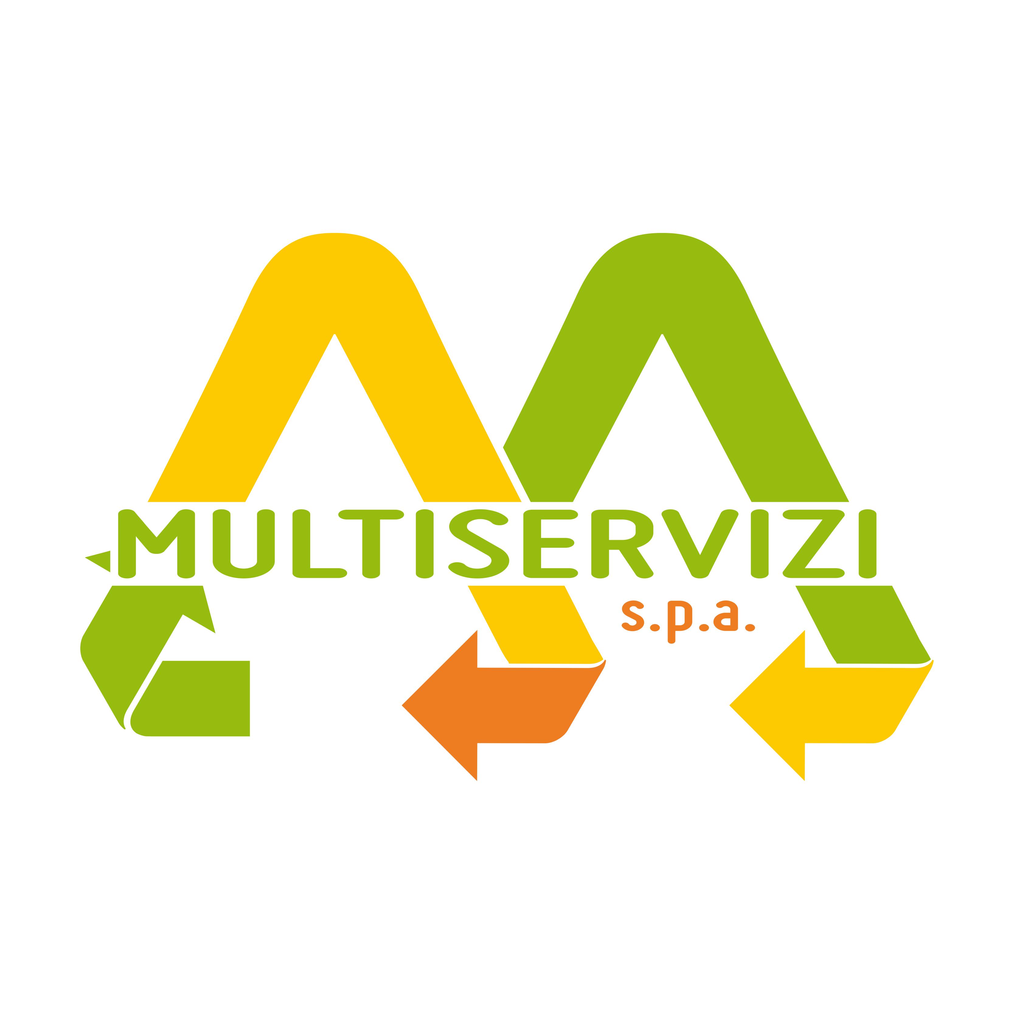 Multiservizi s.p.a.